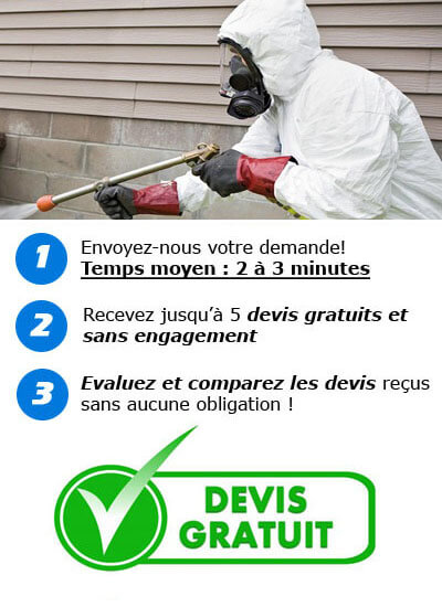 Devis Gratuits Dratisation et Anti Nuisibles