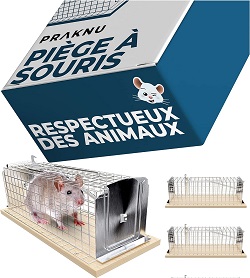 Pige  Souris Sans Tuer et Rutilisable