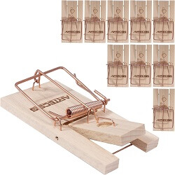 Lot de 10 tapettes  souris classiques en bois